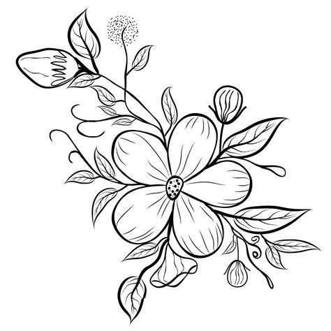 255,069 Free images of Black White Drawing .